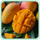 African Mango Extract